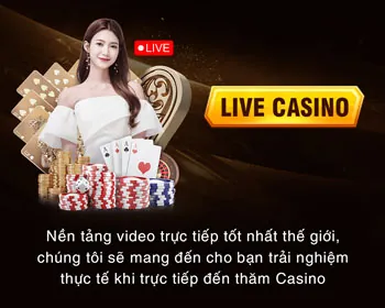 Tổng quan về điều khoản dịch vụ minh bạch của 79king3 casino