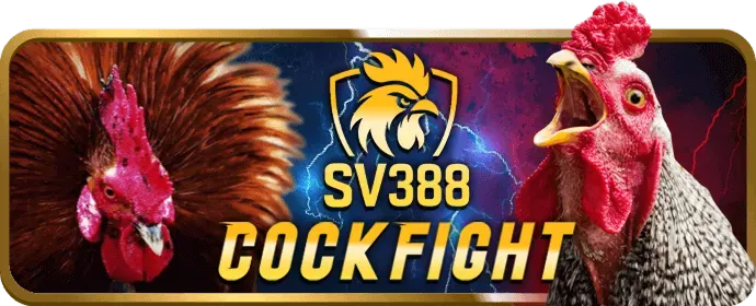 Hình ảnh minh họa các biện pháp bảo vệ dữ liệu của 79king3 casino
